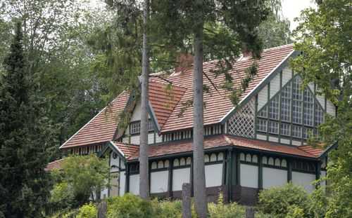 Biologiska museet syns bakom grenar. Ett vitt trähus med stora spröjsade fönster och gröna fönsterkarmar.